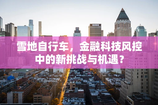 雪地自行车，金融科技风控中的新挑战与机遇？