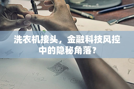 洗衣机接头，金融科技风控中的隐秘角落？