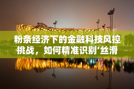 粉条经济下的金融科技风控挑战，如何精准识别‘丝滑’背后的风险？
