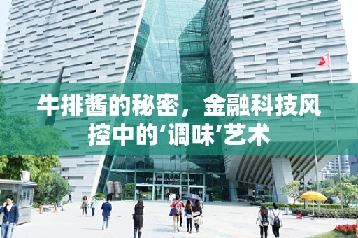 牛排酱的秘密，金融科技风控中的‘调味’艺术