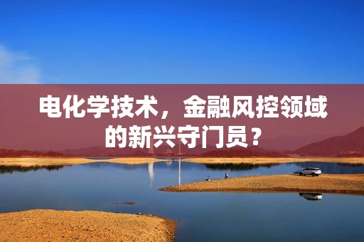 电化学技术，金融风控领域的新兴守门员？