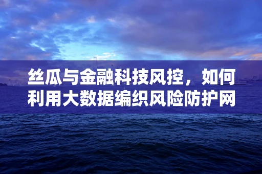 丝瓜与金融科技风控，如何利用大数据编织风险防护网？