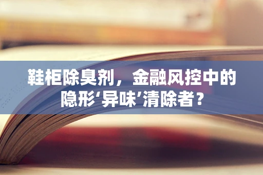 鞋柜除臭剂，金融风控中的隐形‘异味’清除者？