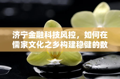 济宁金融科技风控，如何在儒家文化之乡构建稳健的数字防线？