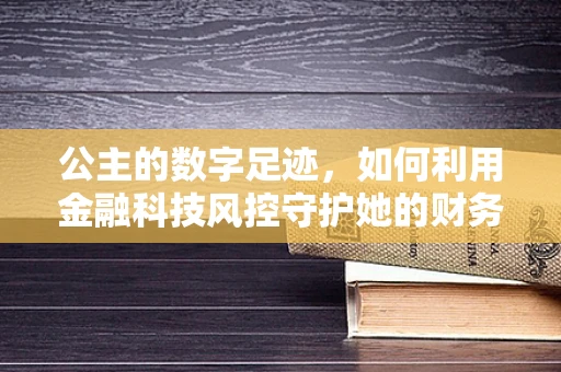公主的数字足迹，如何利用金融科技风控守护她的财务安全？