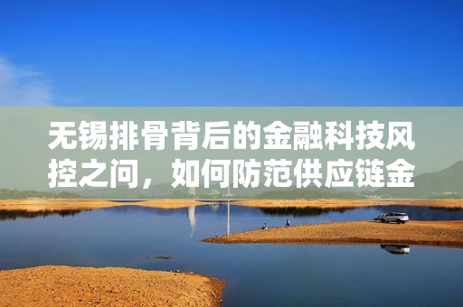 无锡排骨背后的金融科技风控之问，如何防范供应链金融的肉中刺？