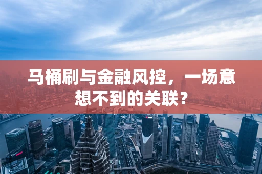 马桶刷与金融风控，一场意想不到的关联？