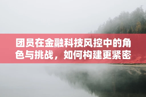团员在金融科技风控中的角色与挑战，如何构建更紧密的团队防线？