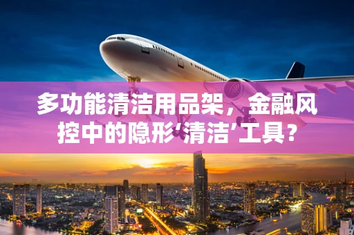 多功能清洁用品架，金融风控中的隐形‘清洁’工具？