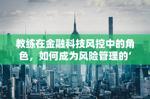 教练在金融科技风控中的角色，如何成为风险管理的‘智囊团’？