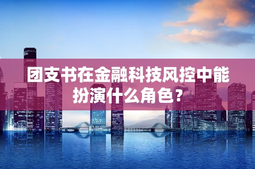 团支书在金融科技风控中能扮演什么角色？