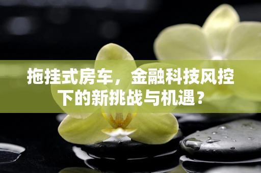 拖挂式房车，金融科技风控下的新挑战与机遇？