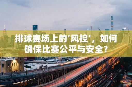 排球赛场上的‘风控’，如何确保比赛公平与安全？