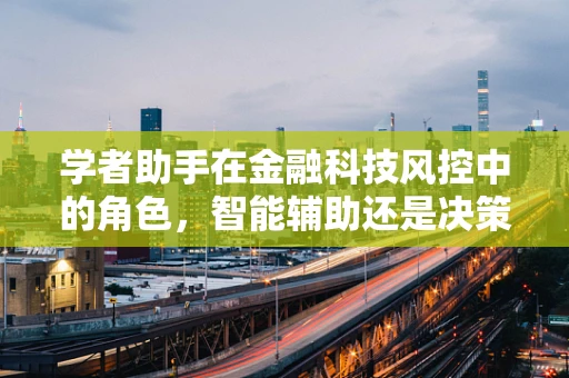 学者助手在金融科技风控中的角色，智能辅助还是决策替代？