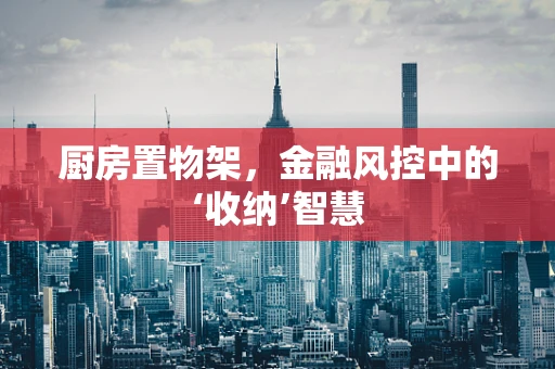 厨房置物架，金融风控中的‘收纳’智慧