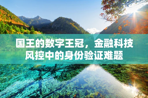 国王的数字王冠，金融科技风控中的身份验证难题