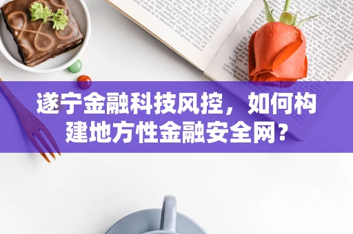 遂宁金融科技风控，如何构建地方性金融安全网？