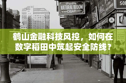 鹤山金融科技风控，如何在数字稻田中筑起安全防线？
