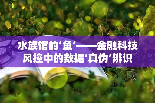 水族馆的‘鱼’——金融科技风控中的数据‘真伪’辨识