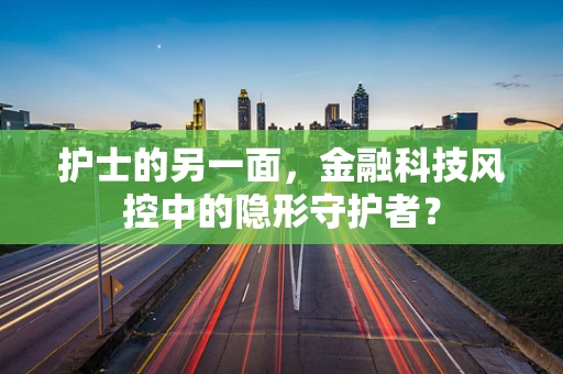 护士的另一面，金融科技风控中的隐形守护者？