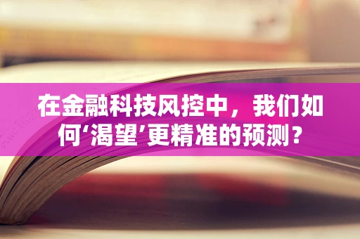 在金融科技风控中，我们如何‘渴望’更精准的预测？