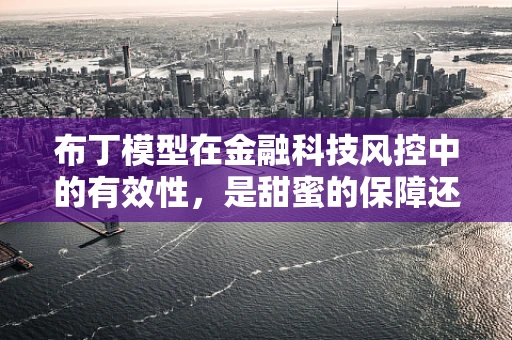 布丁模型在金融科技风控中的有效性，是甜蜜的保障还是甜蜜的陷阱？