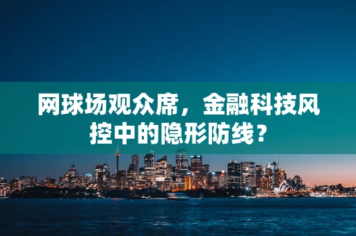 网球场观众席，金融科技风控中的隐形防线？