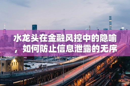 水龙头在金融风控中的隐喻，如何防止信息泄露的无序流淌？