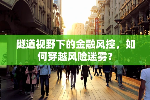 隧道视野下的金融风控，如何穿越风险迷雾？