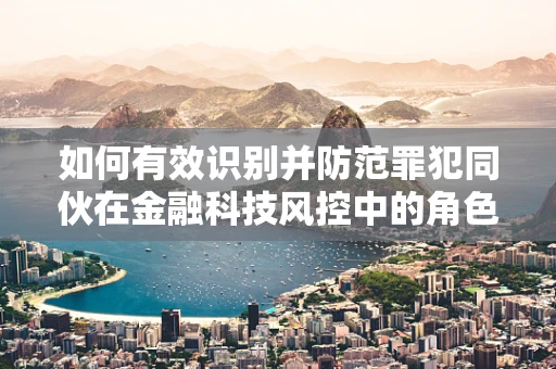 如何有效识别并防范罪犯同伙在金融科技风控中的角色？