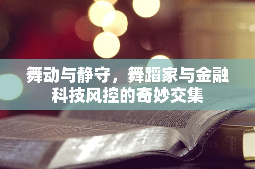 舞动与静守，舞蹈家与金融科技风控的奇妙交集