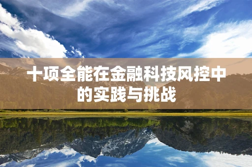 十项全能在金融科技风控中的实践与挑战