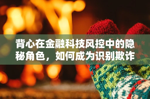 背心在金融科技风控中的隐秘角色，如何成为识别欺诈的隐形盾牌？