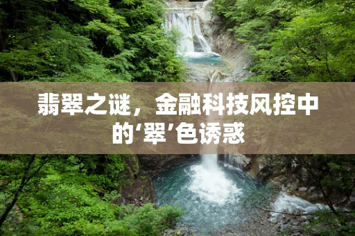 翡翠之谜，金融科技风控中的‘翠’色诱惑