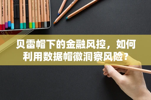 贝雷帽下的金融风控，如何利用数据帽徽洞察风险？