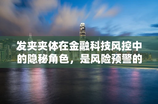 发夹夹体在金融科技风控中的隐秘角色，是风险预警的‘隐形盾牌’吗？