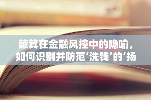 簸箕在金融风控中的隐喻，如何识别并防范‘洗钱’的‘扬场’行为？