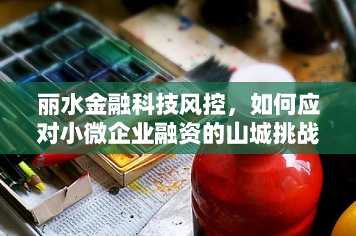丽水金融科技风控，如何应对小微企业融资的山城挑战？