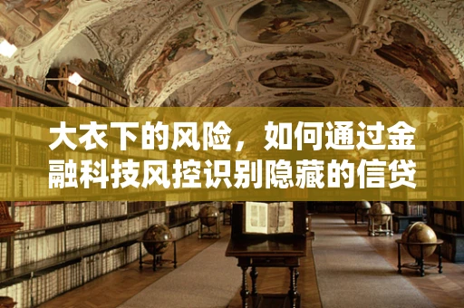 大衣下的风险，如何通过金融科技风控识别隐藏的信贷风险？
