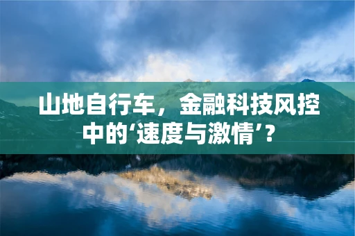 山地自行车，金融科技风控中的‘速度与激情’？