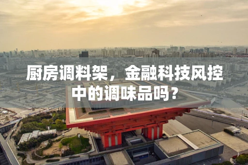 厨房调料架，金融科技风控中的调味品吗？