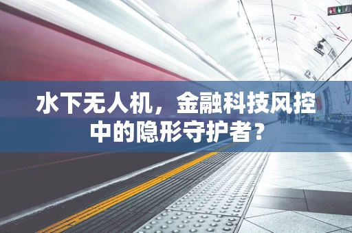 水下无人机，金融科技风控中的隐形守护者？