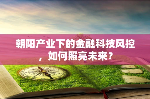 朝阳产业下的金融科技风控，如何照亮未来？