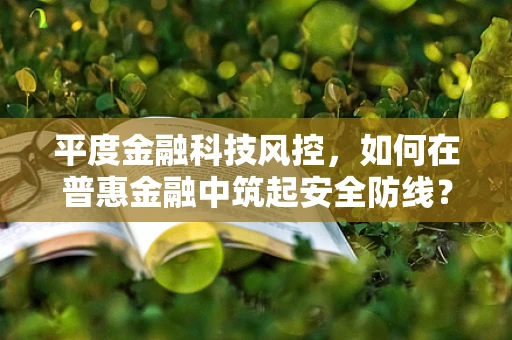 平度金融科技风控，如何在普惠金融中筑起安全防线？