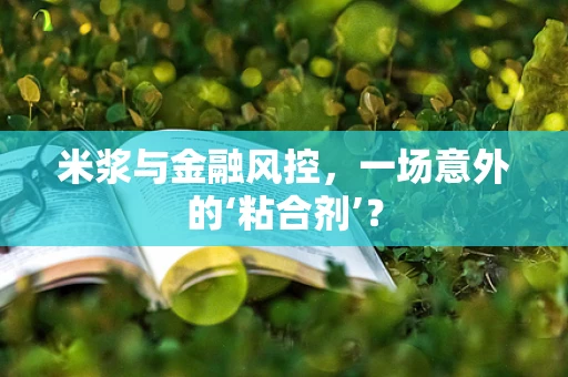 米浆与金融风控，一场意外的‘粘合剂’？