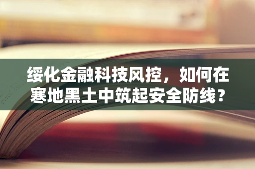 绥化金融科技风控，如何在寒地黑土中筑起安全防线？