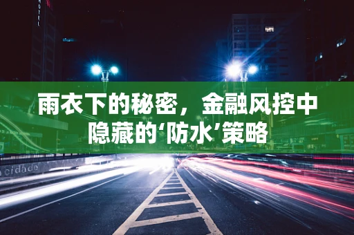 雨衣下的秘密，金融风控中隐藏的‘防水’策略