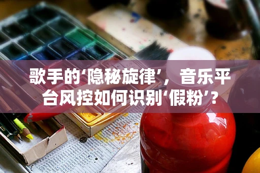 歌手的‘隐秘旋律’，音乐平台风控如何识别‘假粉’？