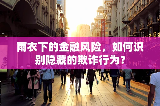 雨衣下的金融风险，如何识别隐藏的欺诈行为？