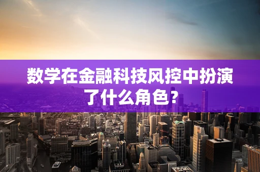数学在金融科技风控中扮演了什么角色？